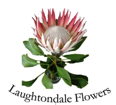 Laughtondale Flowers logo